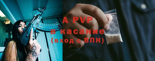 дмт Белокуриха